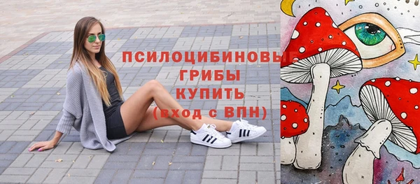 крисы Надым