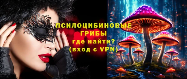прущие грибы Абинск