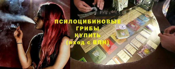 прущие грибы Абинск