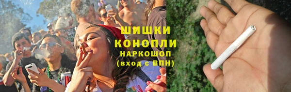 прущие грибы Абинск